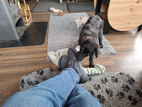 Die schoenen zijn echt wel lekker hoor!!