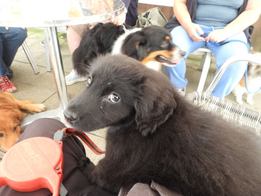 Ga ik hier op school gaan??!!