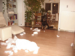 Ik zie jullie graag baas!