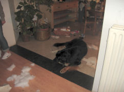 Ik heb da nie gedaan zenne!!