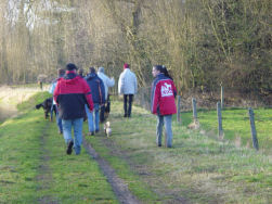 Hovawart bende maakt dijk onveilig!
