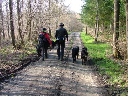 Een gezellige babbel op een zeldzame bijna vlakke weg.