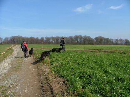 Met de wind van voren!