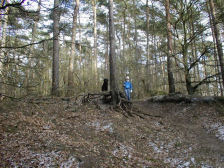 Ik zei toch dat het hier was!