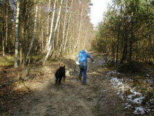 Zo win je een zoektocht!