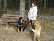 Zijn we hier nog juist vrouwtje?