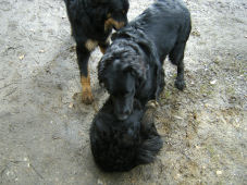 Wie is hier de  baas zei je?