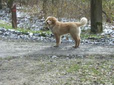 Ik ben jong en ik wil wat!