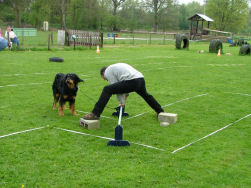 Bakstenenloop...enige lenigheid is wel vereist!