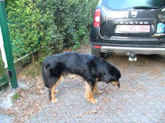 Oei, er zit precies iets in mijn keel...