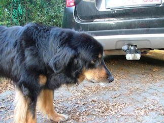 Even goed nadenken wat ik nu weer moest doen...