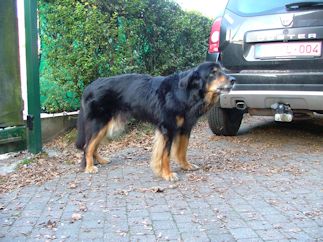 Blaffen moet je naar de andere kant Jadzea!!