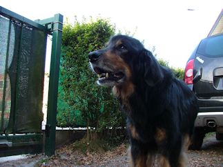 Fier tot de laatste snik.