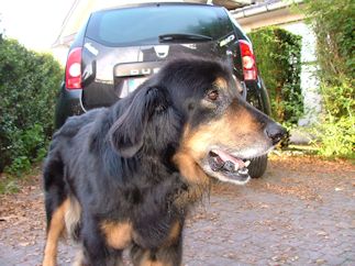 Net nog goe gaan drinken baas!