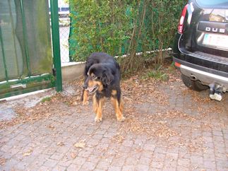 Da is hier mijn favoriete plek zie!