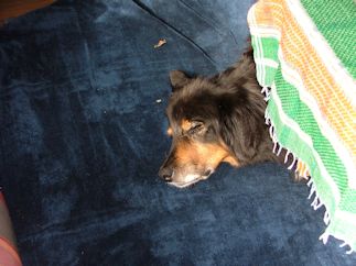 De slaap der ontschuldigen...