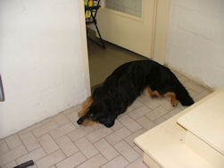Wassen? Ik toch nie h�??!!