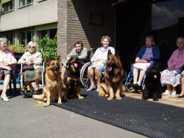En ware hoogdag voor deze honden.