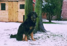 Weer of geen weer...buiten voel ik mij goed!