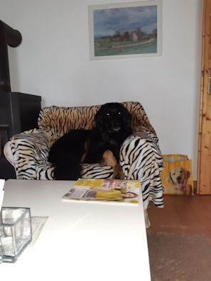 Prinses Pepper op haar troon.