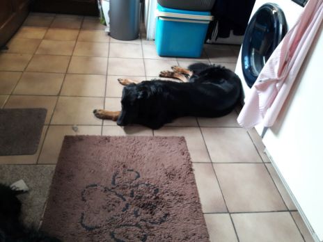 Nie lachen met mij h�!!