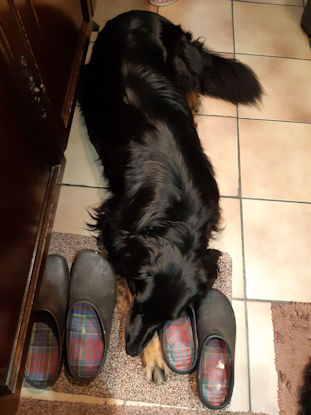 Pfffff! Waar blijft al dat lekkers??!!