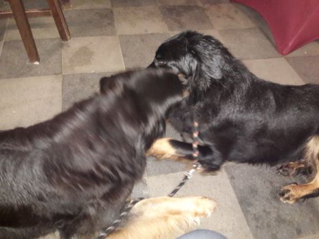 En dan noemen ze mij kroko!!!