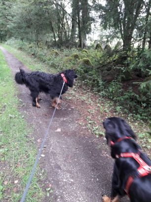 Pepper lanceert zich...