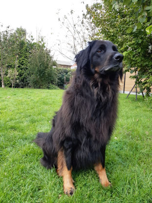 Door haar baas geliefd... maar een echte feeks!