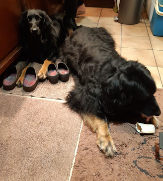 Aiko een been??? En ik dan??!!