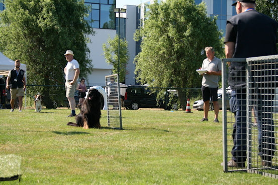 Pepper!!! Nu is het staan!!