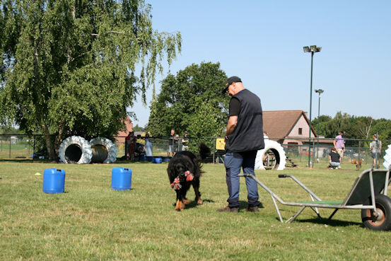 Niet spelen, BRENG!!