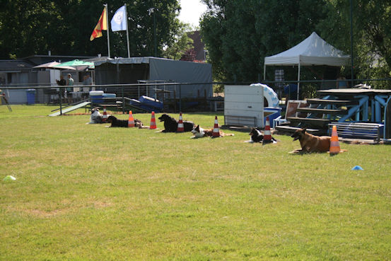 Hier lig ik goed hoor baas!!