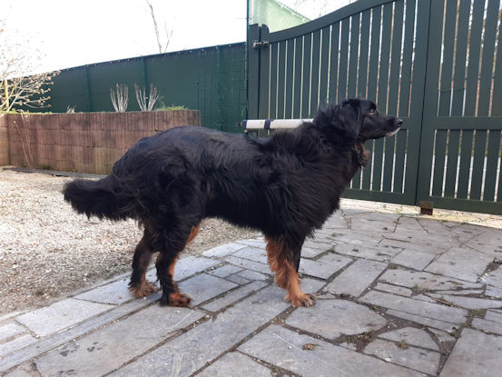 Da is hie allemaal van mij!!