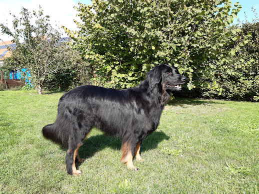 Praat maar met mijn advocaat!!