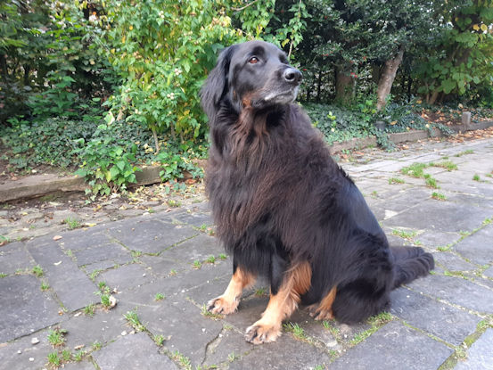 Ik ben Princes Pepper!