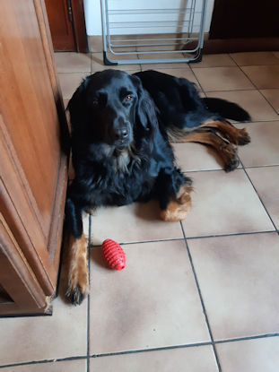 Ge moet nie alles geloven wa ze vertellen over mij hoor!!