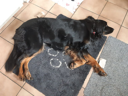 Soms moet ik echt wel rusten hoor!!