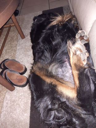 Mooi het leven is mooi...