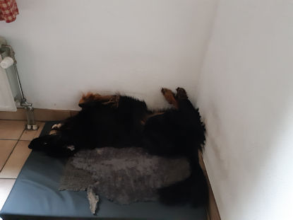 In de hoek? Omdat ik het zelf wil!