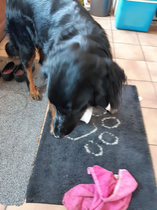 En nu word ik in natura betaald...