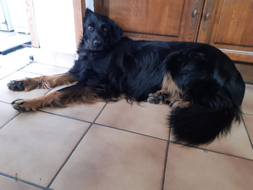 Ik moet toch niet rechtstaan h�??!!