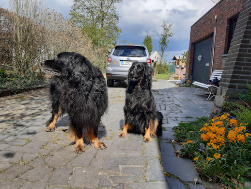 Aiko kan toch onnozel doen zenne!!