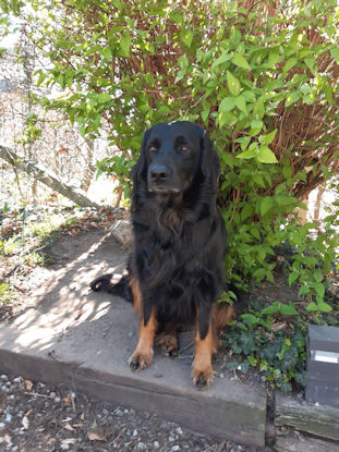 Hoezo??? Mijn goede kant laten zien??