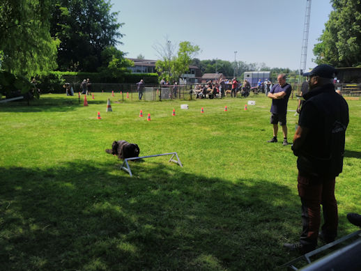 De houdingen... liggen lukt al, en nu de rest...