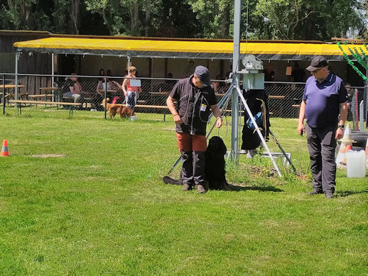 Klaar om te volgen Pepperoni???