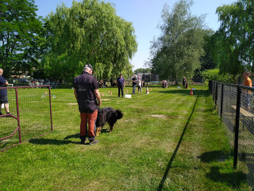 Was da ne zit voor of ne voet baas??!!