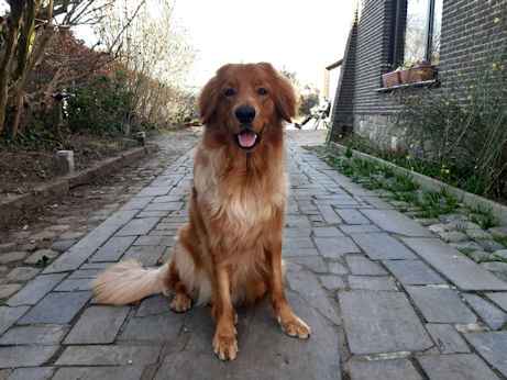 HIER mag je fotograferen!!