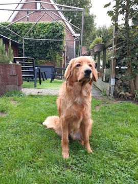 Wat zou ik vandaag nog kunnen uitsteken??!!