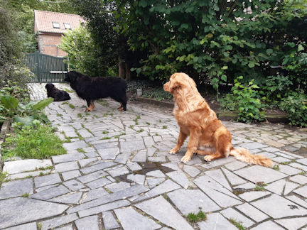 Komen jullie mij helpen????